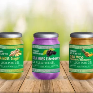 Label Design Basic